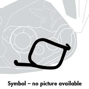 Motorschutzbügel inkl. Protection Pad schwarz für Triumph Speed Triple 1200 RS (2021-)